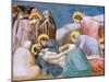 Passion, Mourning over Dead Christ-Giotto di Bondone-Mounted Art Print