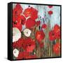 Passion Poppies I-Andrew Michaels-Framed Stretched Canvas