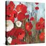 Passion Poppies I-Andrew Michaels-Stretched Canvas