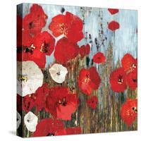 Passion Poppies I-Andrew Michaels-Stretched Canvas