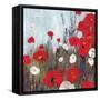 Passion Poppies II-Andrew Michaels-Framed Stretched Canvas