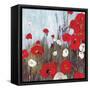 Passion Poppies II-Andrew Michaels-Framed Stretched Canvas