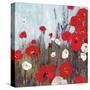 Passion Poppies II-Andrew Michaels-Stretched Canvas