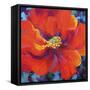 Passion Poppy-Marion Rose-Framed Stretched Canvas