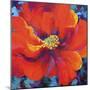 Passion Poppy-Marion Rose-Mounted Giclee Print