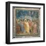 Passion, The Kiss of Judas-Giotto di Bondone-Framed Art Print