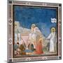 Passion, The Resurrection-Giotto di Bondone-Mounted Art Print