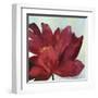 Passionate Flower-Asia Jensen-Framed Art Print