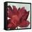 Passionate Flower-Asia Jensen-Framed Stretched Canvas