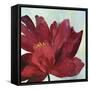 Passionate Flower-Asia Jensen-Framed Stretched Canvas