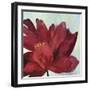 Passionate Flower-Asia Jensen-Framed Art Print