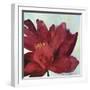 Passionate Flower-Asia Jensen-Framed Art Print