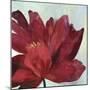 Passionate Flower-Asia Jensen-Mounted Art Print