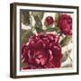 Passionate Garden 2-Jurgen Gottschlag-Framed Art Print