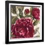 Passionate Garden 2-Jurgen Gottschlag-Framed Art Print