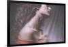 Passionate Girl-Antonella Renzulli-Framed Photographic Print