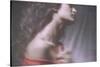 Passionate Girl-Antonella Renzulli-Stretched Canvas