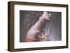 Passionate Girl-Antonella Renzulli-Framed Photographic Print