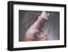 Passionate Girl-Antonella Renzulli-Framed Photographic Print