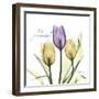 Passionately Tulip-Albert Koetsier-Framed Premium Giclee Print