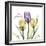 Passionately Tulip-Albert Koetsier-Framed Premium Giclee Print