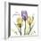 Passionately Tulip-Albert Koetsier-Framed Premium Giclee Print