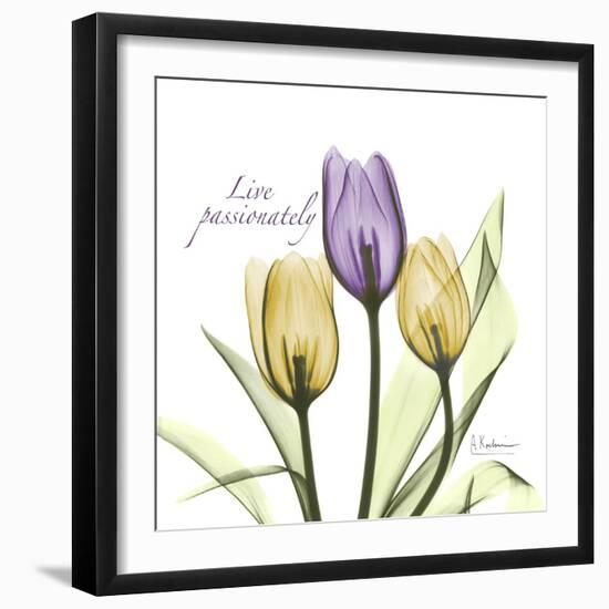 Passionately Tulip-Albert Koetsier-Framed Art Print