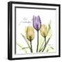 Passionately Tulip-Albert Koetsier-Framed Art Print