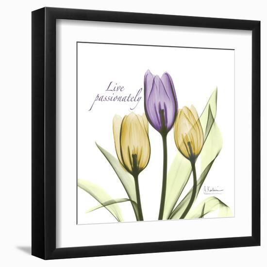 Passionately Tulip-Albert Koetsier-Framed Art Print