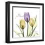 Passionately Tulip-Albert Koetsier-Framed Art Print