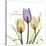 Passionately Tulip-Albert Koetsier-Stretched Canvas