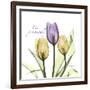 Passionately Tulip-Albert Koetsier-Framed Art Print