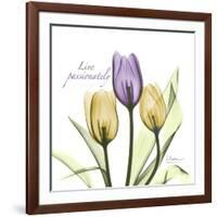 Passionately Tulip-Albert Koetsier-Framed Art Print