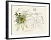 Passionflower I-Melissa Wang-Framed Art Print