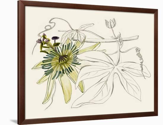 Passionflower I-Melissa Wang-Framed Art Print