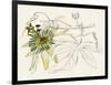 Passionflower I-Melissa Wang-Framed Art Print