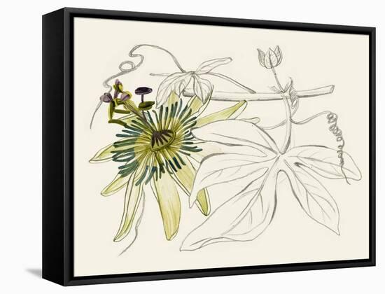 Passionflower I-Melissa Wang-Framed Stretched Canvas