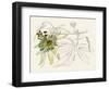 Passionflower I-Melissa Wang-Framed Art Print