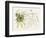 Passionflower I-Melissa Wang-Framed Art Print