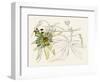 Passionflower I-Melissa Wang-Framed Art Print