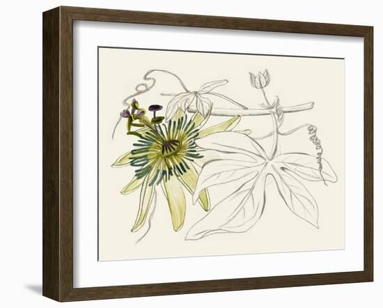 Passionflower I-Melissa Wang-Framed Art Print