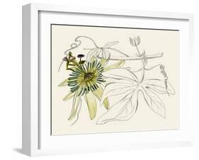 Passionflower I-Melissa Wang-Framed Art Print