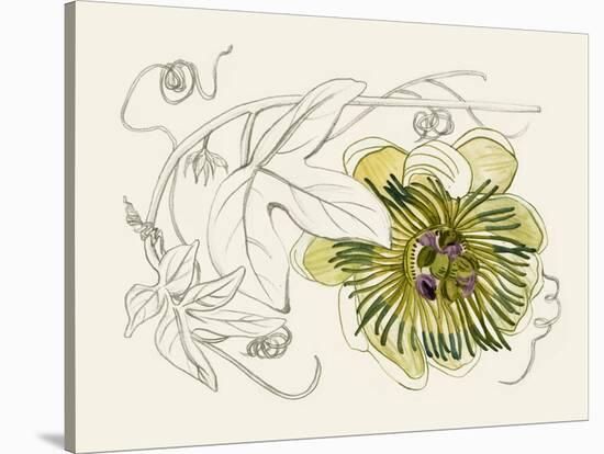 Passionflower II-Melissa Wang-Stretched Canvas