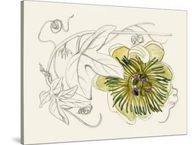 Passionflower II-Melissa Wang-Stretched Canvas