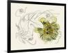 Passionflower II-Melissa Wang-Framed Art Print