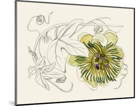 Passionflower II-Melissa Wang-Mounted Art Print