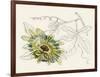 Passionflower III-Melissa Wang-Framed Art Print