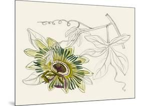 Passionflower III-Melissa Wang-Mounted Art Print