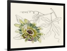 Passionflower III-Melissa Wang-Framed Art Print