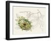 Passionflower III-Melissa Wang-Framed Art Print